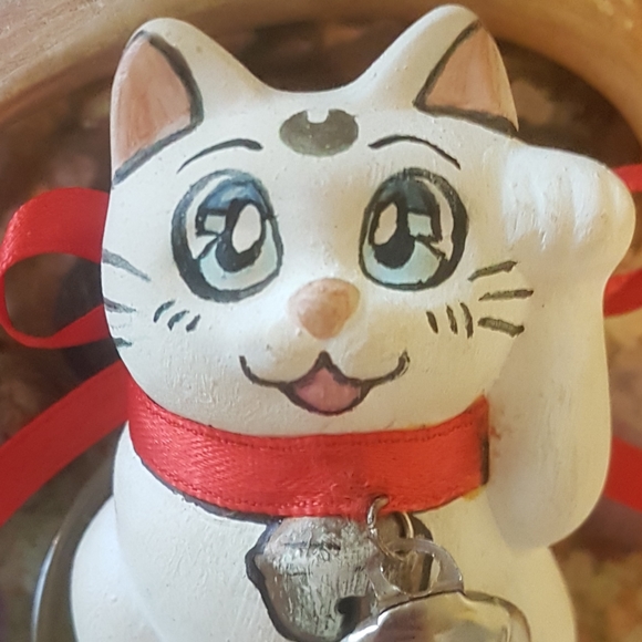 βοΈ$15 off SAILORVIVE - Picture 1 of 2